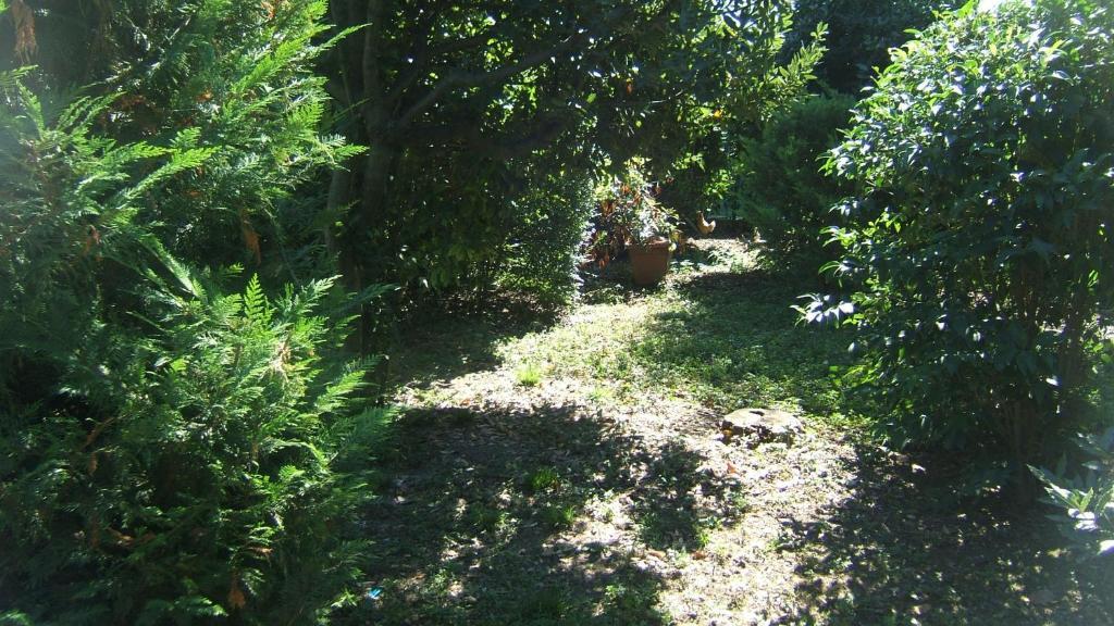 Locanda Canareggio San Biagio di Callalta Luaran gambar